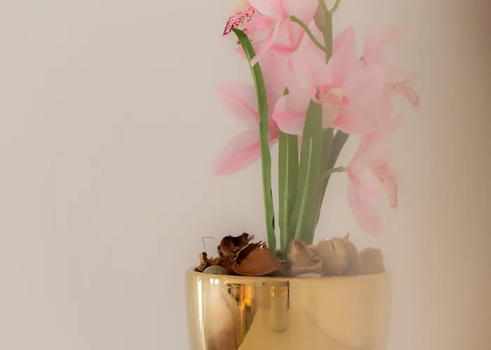 Airport House 3 & Parking *